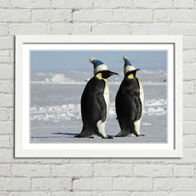 Load image into Gallery viewer, Antarctic Penguins with Santa Hats Christmas