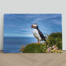 Load image into Gallery viewer, Puffin on Latrabjarg Cliffs