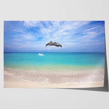Load image into Gallery viewer, Dolphins Jumping Thailand