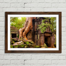 Load image into Gallery viewer, Ta Prohm Temple Cambodia
