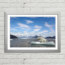 Load image into Gallery viewer, Polar Bear Iceberg