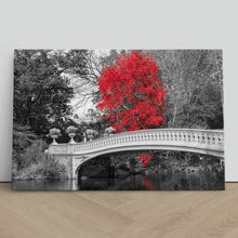 Load image into Gallery viewer, Red Tree Central Park Bridge New York