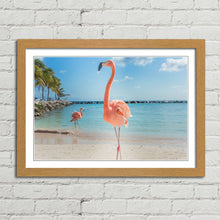 Load image into Gallery viewer, Pink Flamingo in Aruba