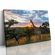 Load image into Gallery viewer, Giraffe on African Plains at Sunrise