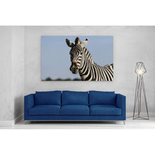 Load image into Gallery viewer, Zebra Safari in Africa