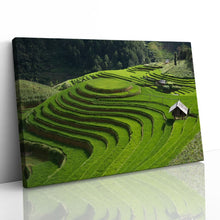 Load image into Gallery viewer, Rice Field Terrace Vietnam