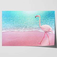 Load image into Gallery viewer, Pink Flamingo on Beach Aruba