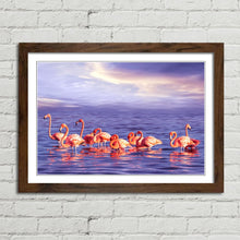 Load image into Gallery viewer, Beautiful Pink Flamingo Flock