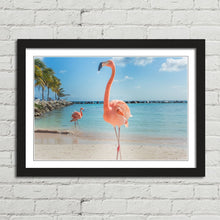Load image into Gallery viewer, Pink Flamingo in Aruba