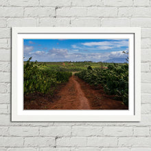 Load image into Gallery viewer, Coffee Plantation Pleiku Vietnam