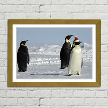 Load image into Gallery viewer, Penguins at Christmas Arctic Santa Hat