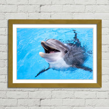 Load image into Gallery viewer, Dolphin Smiling Cute