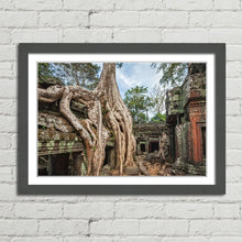 Load image into Gallery viewer, Ta Prohm Temple Tree Angkor