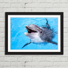 Load image into Gallery viewer, Dolphin Smiling Cute