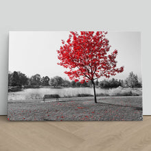 Load image into Gallery viewer, Red Tree Park Bench Lake Nature