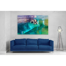 Load image into Gallery viewer, Spotted Seal Close Up