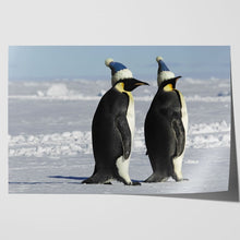 Load image into Gallery viewer, Antarctic Penguins with Santa Hats Christmas