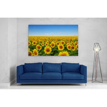 Load image into Gallery viewer, Yellow Sunflowers in Field