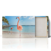 Load image into Gallery viewer, Pink Flamingo in Aruba