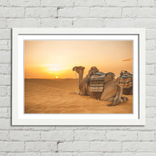 Load image into Gallery viewer, Camel in Sahara Desert at Sunset
