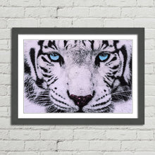 Load image into Gallery viewer, Blue Eyed White Tiger