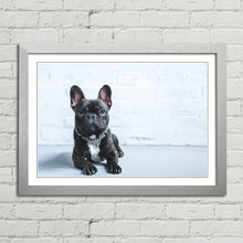 Load image into Gallery viewer, French Bulldog Puppy Cute Pet