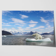 Load image into Gallery viewer, Polar Bear Iceberg