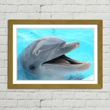 Load image into Gallery viewer, Dolphin Smiling Happy
