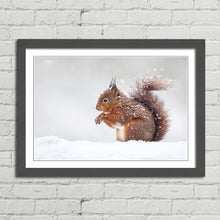 Load image into Gallery viewer, Red Squirrel in Snow England Winter