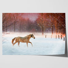 Load image into Gallery viewer, Horse Running in Snow