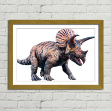 Load image into Gallery viewer, Triceratops Dinosaur