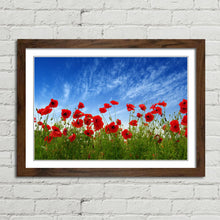 Load image into Gallery viewer, Red Poppies in Field