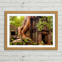 Load image into Gallery viewer, Ta Prohm Temple Cambodia
