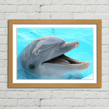 Load image into Gallery viewer, Dolphin Smiling Happy