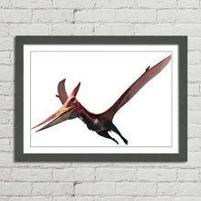 Load image into Gallery viewer, Pteranodon Flying Dinosaur