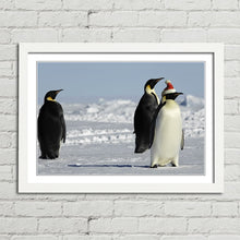 Load image into Gallery viewer, Penguins at Christmas Arctic Santa Hat