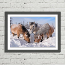 Load image into Gallery viewer, Horses in the Snow