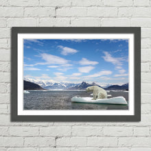 Load image into Gallery viewer, Polar Bear Iceberg