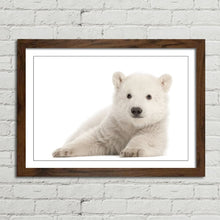 Load image into Gallery viewer, Polar Bear Cub Baby