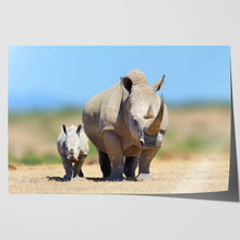 Load image into Gallery viewer, White Rhinoceros Baby