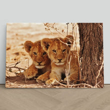 Load image into Gallery viewer, Cute Lion Cubs