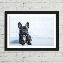 Load image into Gallery viewer, French Bulldog Puppy Cute Pet