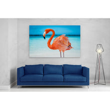 Load image into Gallery viewer, Pretty Pink Aruba Flamingo