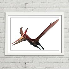 Load image into Gallery viewer, Pteranodon Flying Dinosaur