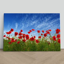 Load image into Gallery viewer, Red Poppies in Field