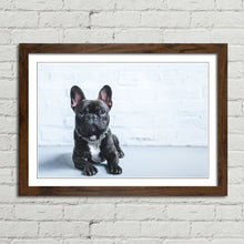 Load image into Gallery viewer, French Bulldog Puppy Cute Pet