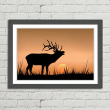 Load image into Gallery viewer, Deer Stag Antlers
