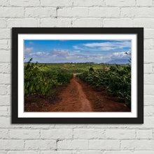 Load image into Gallery viewer, Coffee Plantation Pleiku Vietnam