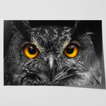 Load image into Gallery viewer, Cute Owl Staring