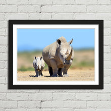 Load image into Gallery viewer, White Rhinoceros Baby